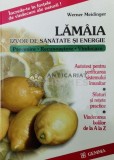 Cumpara ieftin Lamaia, izvor de sanatate si energie - 2002 - Werner Meidinger ($W86)