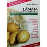 Lamaia, izvor de sanatate si energie - 2002 - Werner Meidinger ($W86)