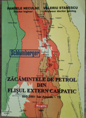 P. NECULAE - V. STANESCU-ZACAMINTELE DE PETROL DIN FLISUL EXTERN CARPATIC {2001} foto