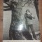 Ingerul blond- Nichita Stanescu Album comemorativ