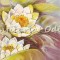 Cupa De Lotus Sau Metamorfoza Sufletului - Augustina Visan-Arnold