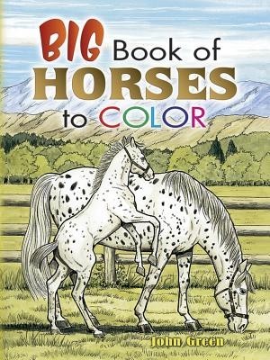 Big Book of Horses to Color foto
