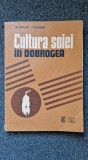 CULTURA SOIEI IN DOBROGEA - Enciu, Ploae