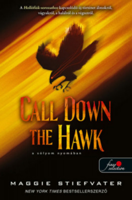 Call Down the Hawk - A s&amp;oacute;lyom nyom&amp;aacute;ban - &amp;Aacute;lmod&amp;oacute;k-tril&amp;oacute;gia 1. - Maggie Stiefvater foto