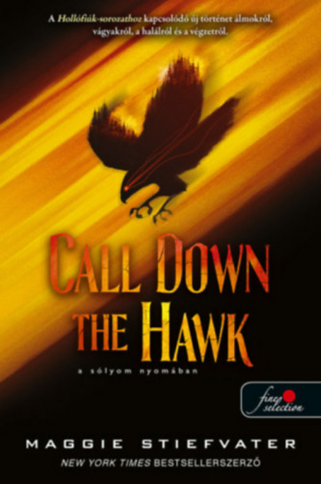 Call Down the Hawk - A s&oacute;lyom nyom&aacute;ban - &Aacute;lmod&oacute;k-tril&oacute;gia 1. - Maggie Stiefvater