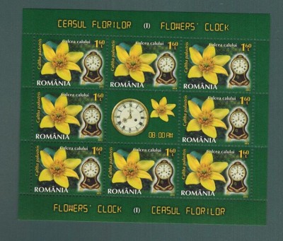 Romania 2013 Ceasul florilor MNH 8 timbre*1,6 lei Calcea Calului LP 1966 c foto