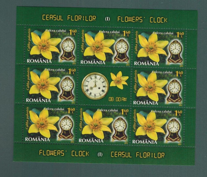 Romania 2013 Ceasul florilor MNH 8 timbre*1,6 lei Calcea Calului LP 1966 c