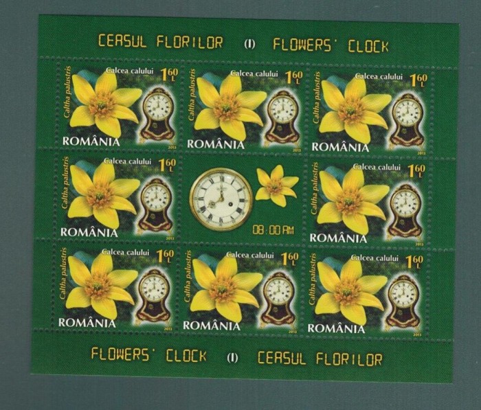 Romania 2013 Ceasul florilor MNH 8 timbre*1,6 lei Calcea Calului LP 1966 c