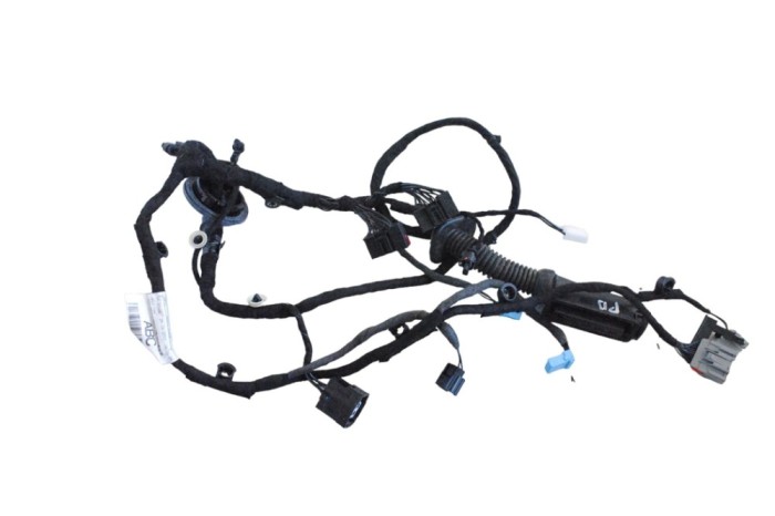 Cablaj ușă dreapta față JAGUAR E-PACE X540 2018 OEM: J9C3-14631-ABC 25575815