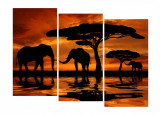 Cumpara ieftin Tablou multicanvas 3 piese Elefanti 2, 120 x 90 cm