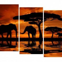 Tablou multicanvas 3 piese Elefanti 2, 120 x 90 cm