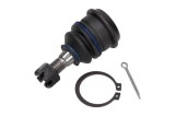 Pivot NISSAN PRIMERA (P12) (2002 - Prezent) MAXGEAR 72-2780