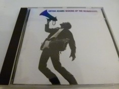 Bryan Adams, cd foto