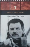 Sculptand in timp - Andrei Tarkovski