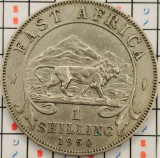 Africa de Est 1 shilling 1950 - km 31 - A009