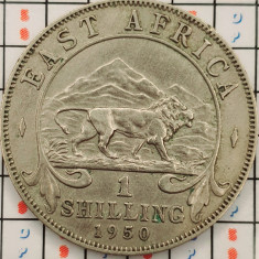 Africa de Est 1 shilling 1950 - km 31 - A009
