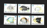 cuba pesti mnh