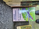 Az egyetlen esely lb.maghiara vintage