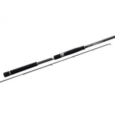 LANSETA GRAPHITELEADER ARGENTO UX 21GARGUS-902LML 2.74M 5-21G 2seg foto