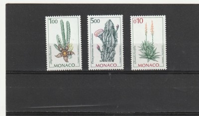 Cactusi,flori,1996,Monaco. foto