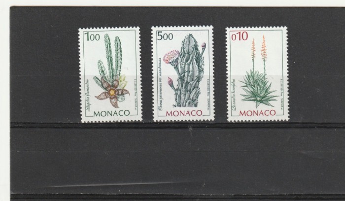 Cactusi,flori,1996,Monaco.
