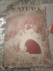E. Natura 1942 Revista Stiintei