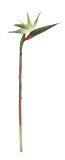 Cumpara ieftin Set 12 Sterlizia artificiale verzi 4x23x98 cm