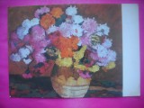 HOPCT 11643 FLORI -STEFAN LUCHIAN -CP PICTURA - ROMANIA-NECIRCULATA
