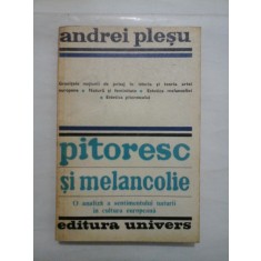 PITORESC SI MELANCOLIE - ANDREI PLESU