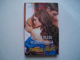 O intelegere scandaloasa - Joanna Shupe