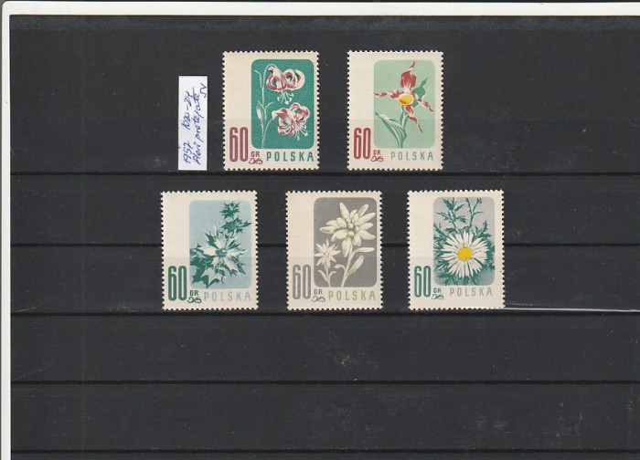 POLONIA - FLORI PROTEJATE ( MI PL 1020-1024 ) 1957 MNH