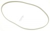 1183J5EL CUREA ELASTICA POLY V COM