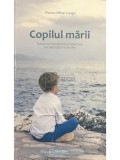 Marius Mihai Lungu - Copilul marii (Editia: 2016)
