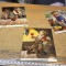 Carti postale #A8033han