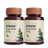 Cumpara ieftin Pachet Ginkana Ginkgo Biloba 120 mg, 30+30 comprimate, Alevia
