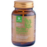 Bacopa Monnieri Forte 60 capsule Aronia Charlottenburg