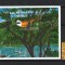 Timbre Grenada, 1993 | Piţigoi R&acirc;zător - Păsări | Coliţă MNH | aph
