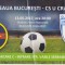 QW13 8 - Bilet acces parcare - FCSB Steaua - Universitatea Craiova - 13 05 2017