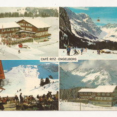 SH1 - Carte Postala - ELVETIA - Engelberg, Cafe Ritz , Necirculata