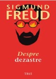 Cumpara ieftin Despre dezastre/Sigmund Freud