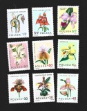 polonia flori mnh