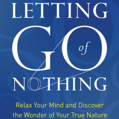 Letting Go of Nothing: Relax Your Mind and Discover the Wonder of Your True Nature