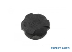Buson vas expansiune Hyundai Getz (2002-2009) #1