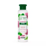 Sampon stop caderii parului cu pantenol si trifoi rosu, 250ml, Cosmetic Plant