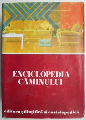 Enciclopedia caminului foto