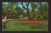 CPIB 21836 - CARTE POSTALA - BUCURESTI, GRADINA CISMIGIU, Circulata, Fotografie