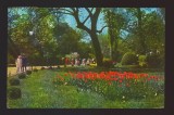 CPIB 21836 - CARTE POSTALA - BUCURESTI, GRADINA CISMIGIU