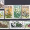DB1 Flora Flori 1972 Falkland 13 v. MNH