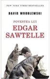 Povestea lui Edgar Sawtelle - David Wroblewski