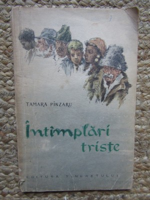 Tamara Pinzaru - Intamplari triste foto